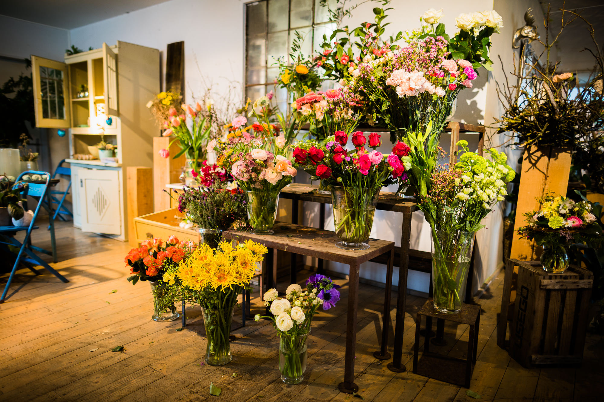 Export x3 5D4 9393 Businessauftrag 2017 Blattform Aarau